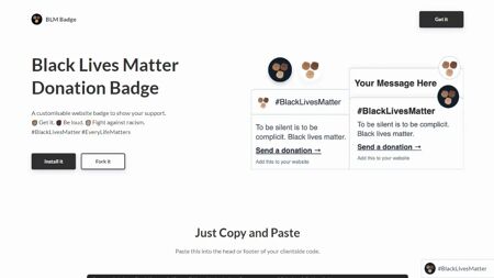 BLM Badge Website Screenshot