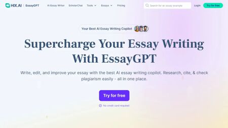 EssayGPT Website Screenshot