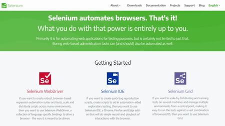 Selenium Website Screenshot